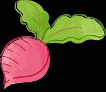 <b>课程还新增了“科学”“外品平安”等内容</b>