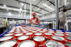 <b><b>性饮品正逐步成为消费者糊口中不成或缺的一部</b></b>